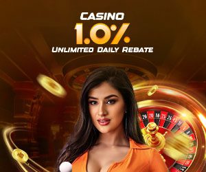 Casino Unlimited Daily Rebate